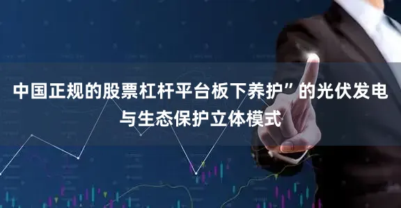 中国正规的股票杠杆平台板下养护”的光伏发电与生态保护立体模式