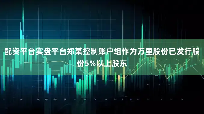 配资平台实盘平台郑某控制账户组作为万里股份已发行股份5%以上股东