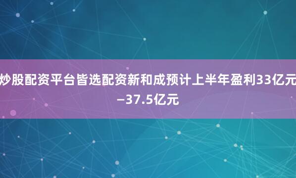 炒股配资平台皆选配资新和成预计上半年盈利33亿元—37.5亿元