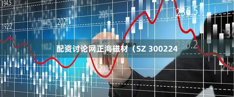 配资讨论网正海磁材（SZ 300224
