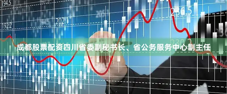 成都股票配资四川省委副秘书长、省公务服务中心副主任